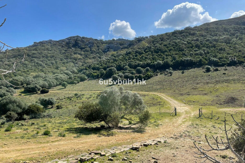 Finca - Cortijo Castellar de la Frontera Cádiz - imagen 6