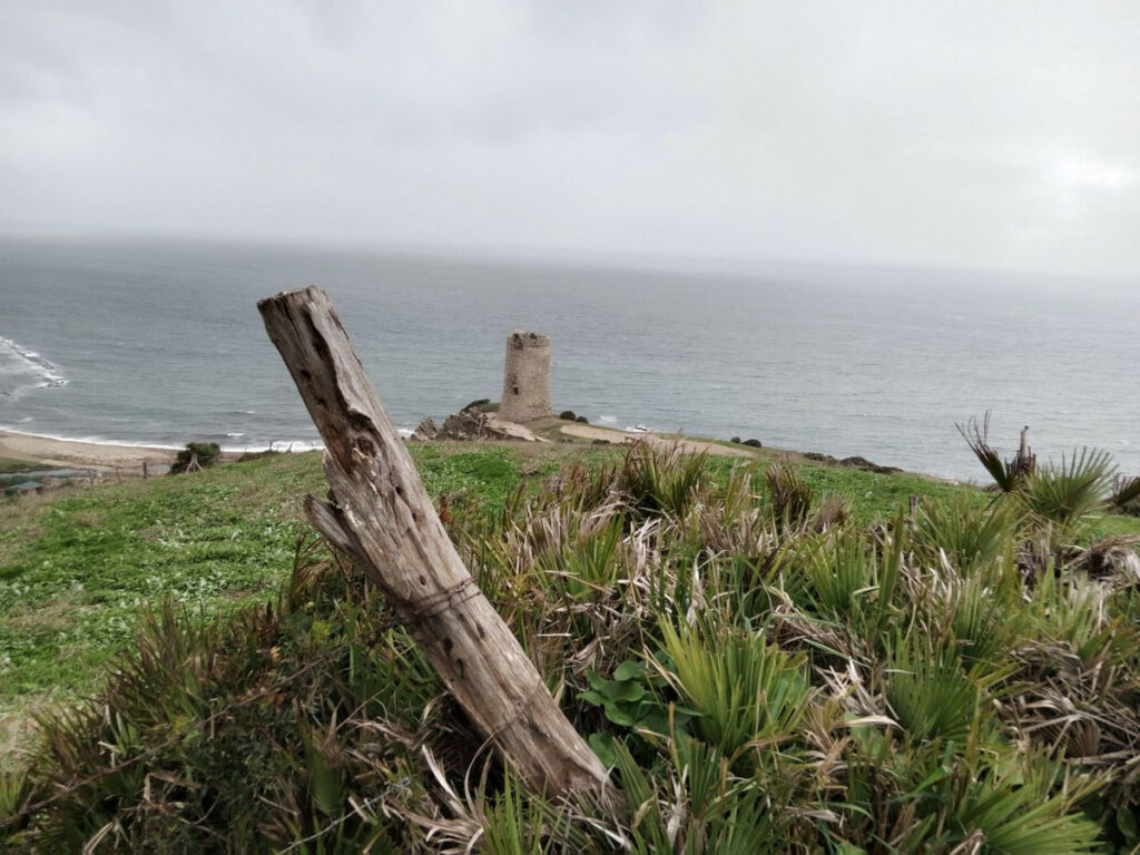 Land with Ruin Tarifa Cádiz - imagen 6