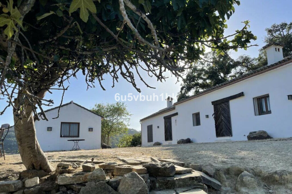 Finca - Cortijo Castellar de la Frontera Cádiz - imagen 7