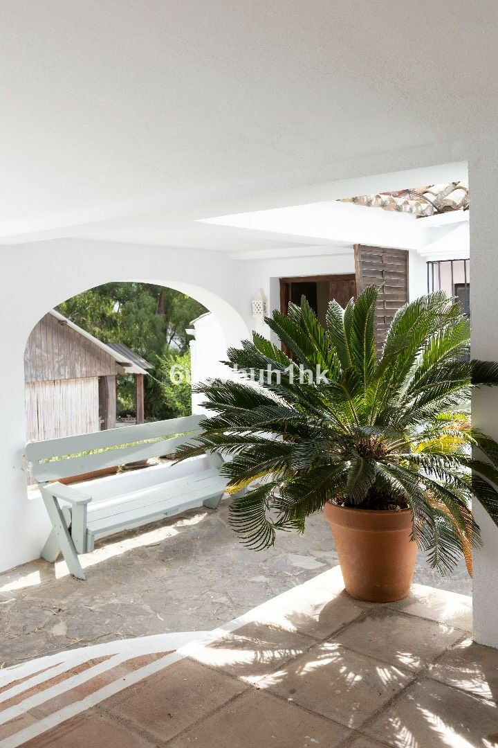 Finca - Cortijo Tarifa Cádiz - zdjęcie 7
