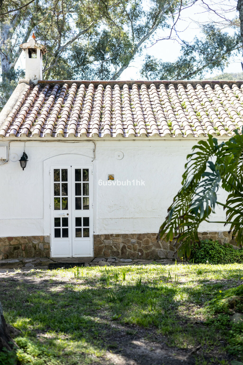 Finca - Cortijo Jimena de la Frontera Cádiz - zdjęcie 9