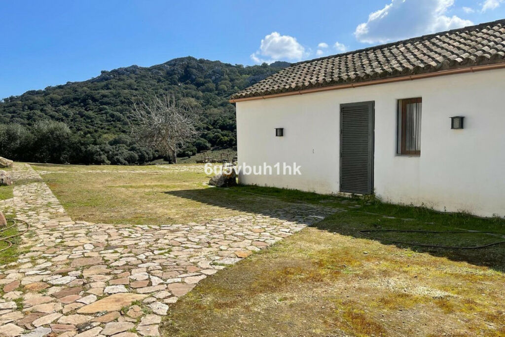 Finca - Cortijo Castellar de la Frontera Cádiz - imagen 9