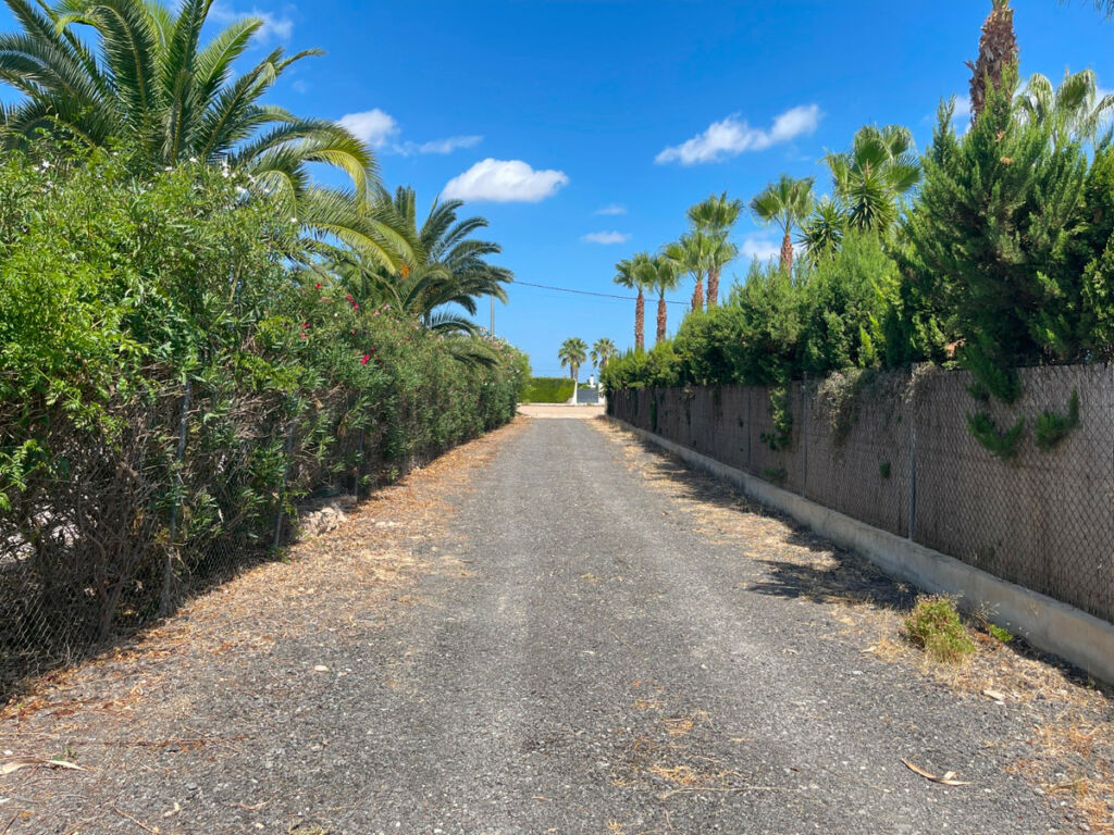 Finca - Cortijo Benejuzar Alicante - zdjęcie 9