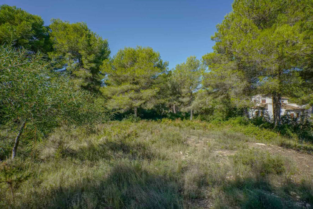 Residential Plot Javea Alicante - imagen 10