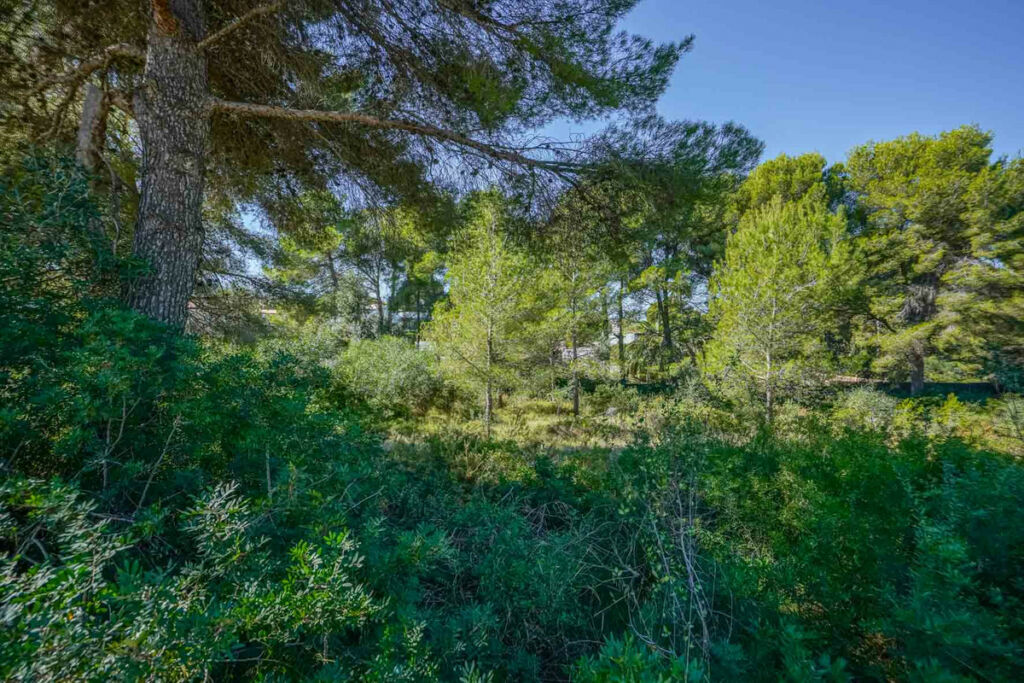 Residential Plot Javea Alicante - imagen 11