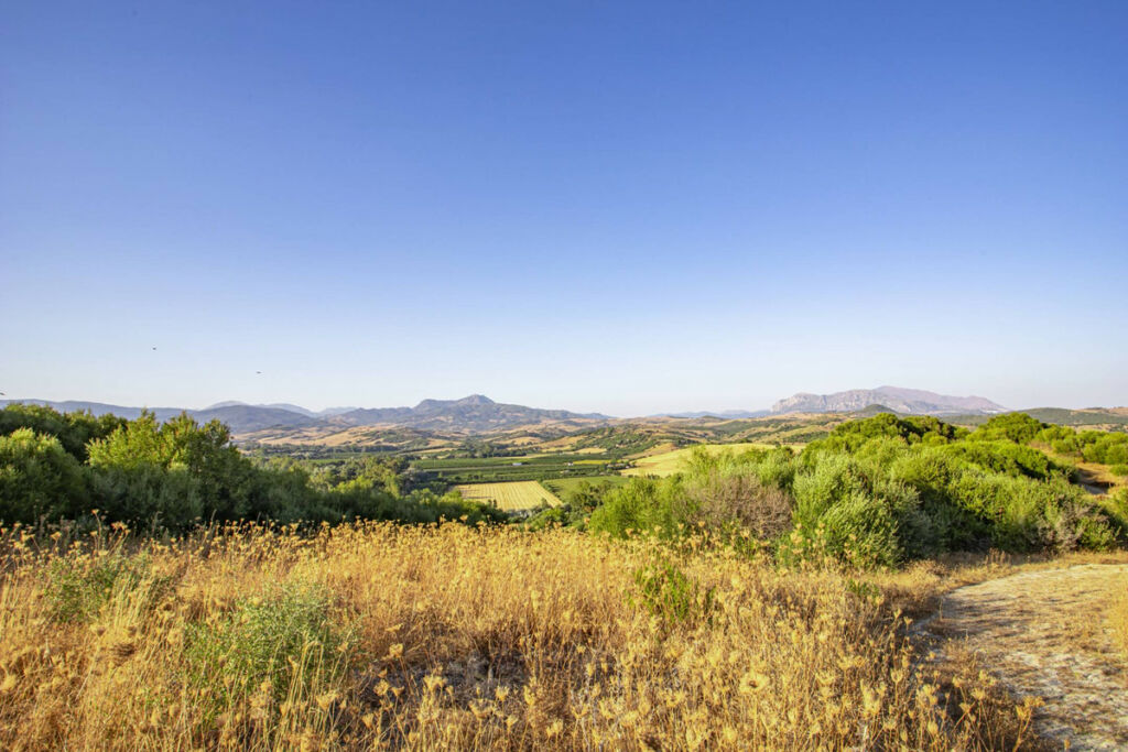 Finca - Cortijo Jimena de la Frontera Cádiz - zdjęcie 40