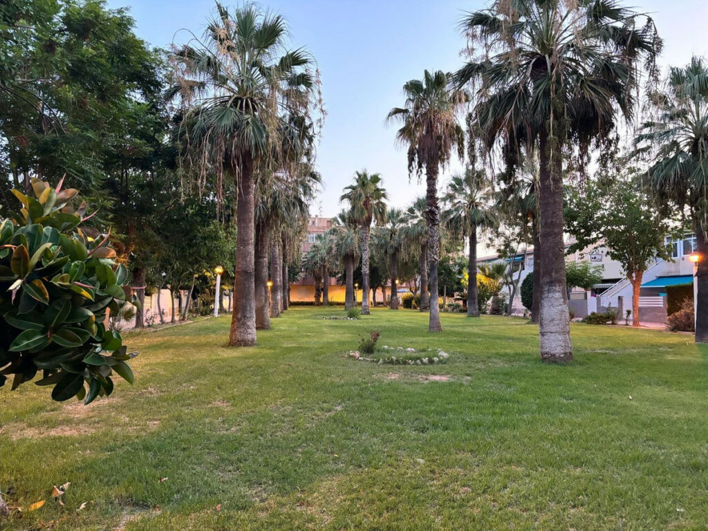 Ground Floor Apartment Campoamor Alicante - image 19