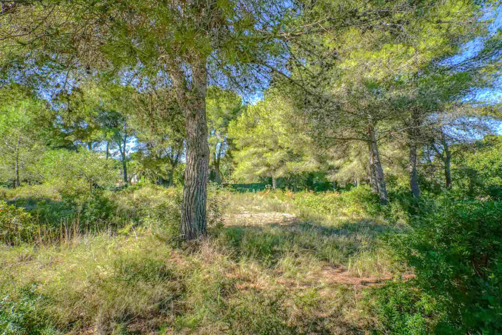 Residential Plot Javea Alicante - imagen 2