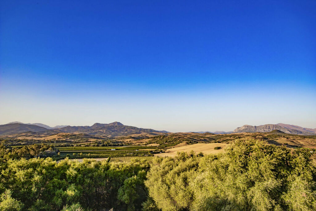 Finca - Cortijo Jimena de la Frontera Cádiz - zdjęcie 2