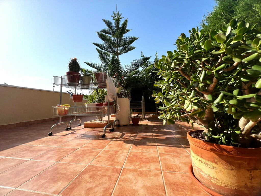 Ground Floor Apartment Orihuela Costa Alicante - zdjęcie 20