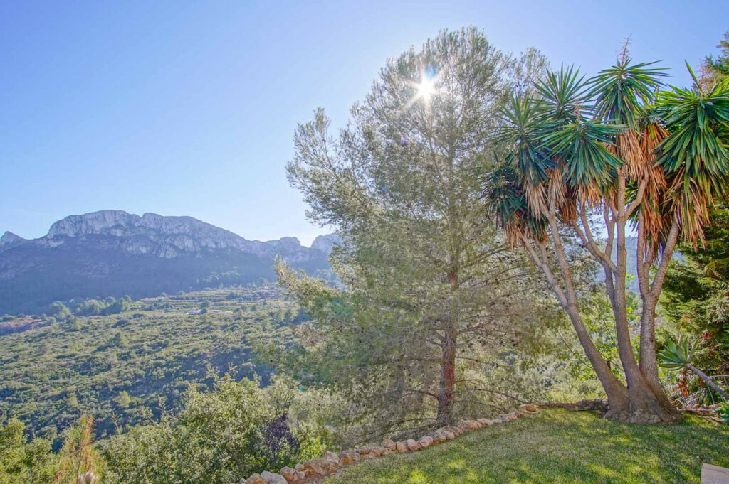 Detached Villa Pego Alicante - imagen 27