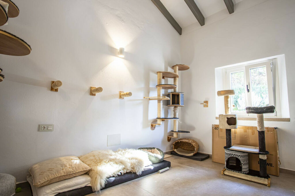 Finca - Cortijo Jimena de la Frontera Cádiz - zdjęcie 29