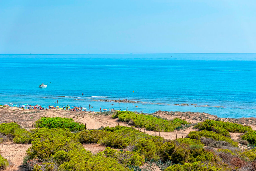 Penthouse La Mata Alicante - imagen 29