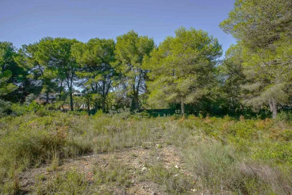 Residential Plot Javea Alicante - imagen 3