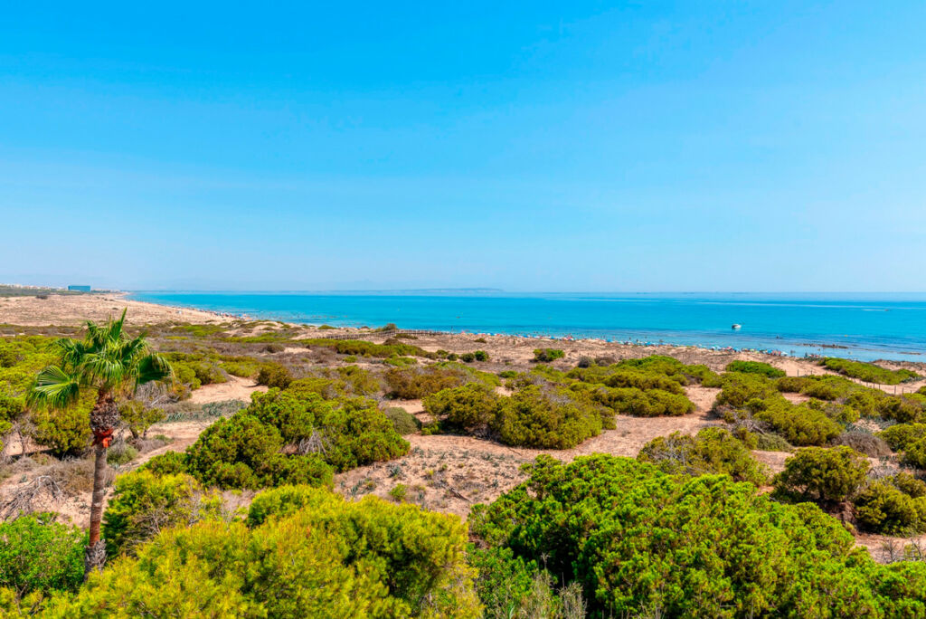 Penthouse La Mata Alicante - imagen 30