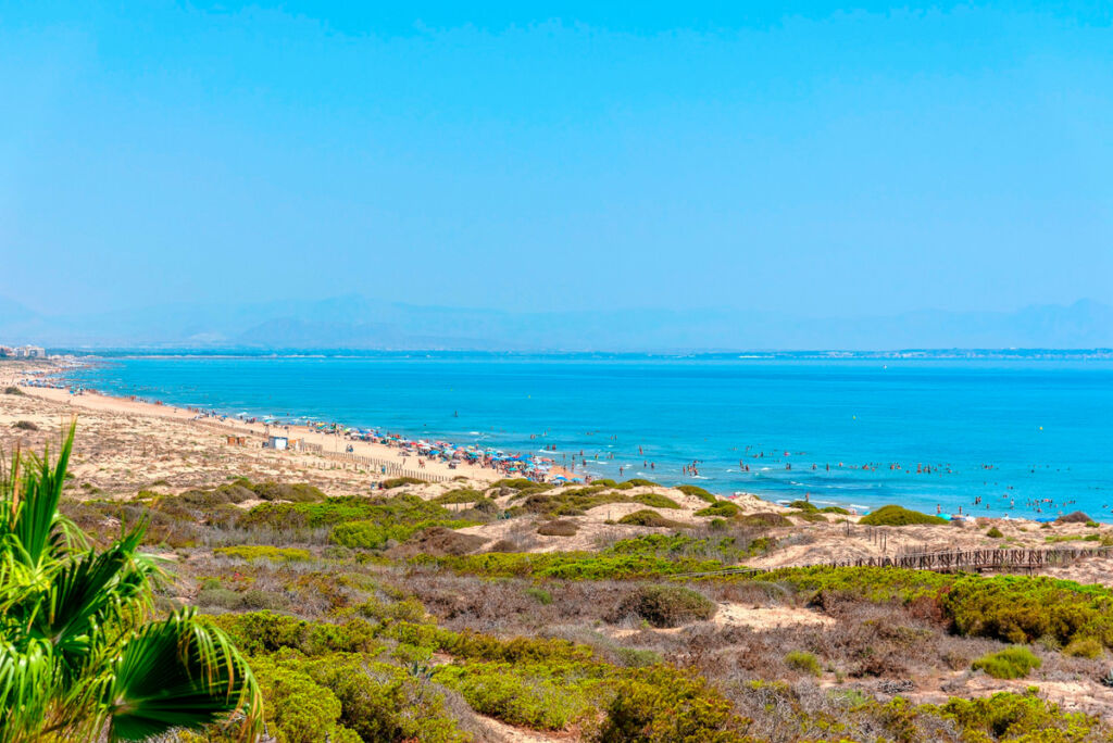 Penthouse La Mata Alicante - imagen 33