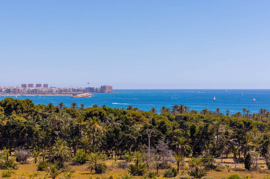 Middle Floor Apartment Punta Prima Alicante - zdjęcie 33