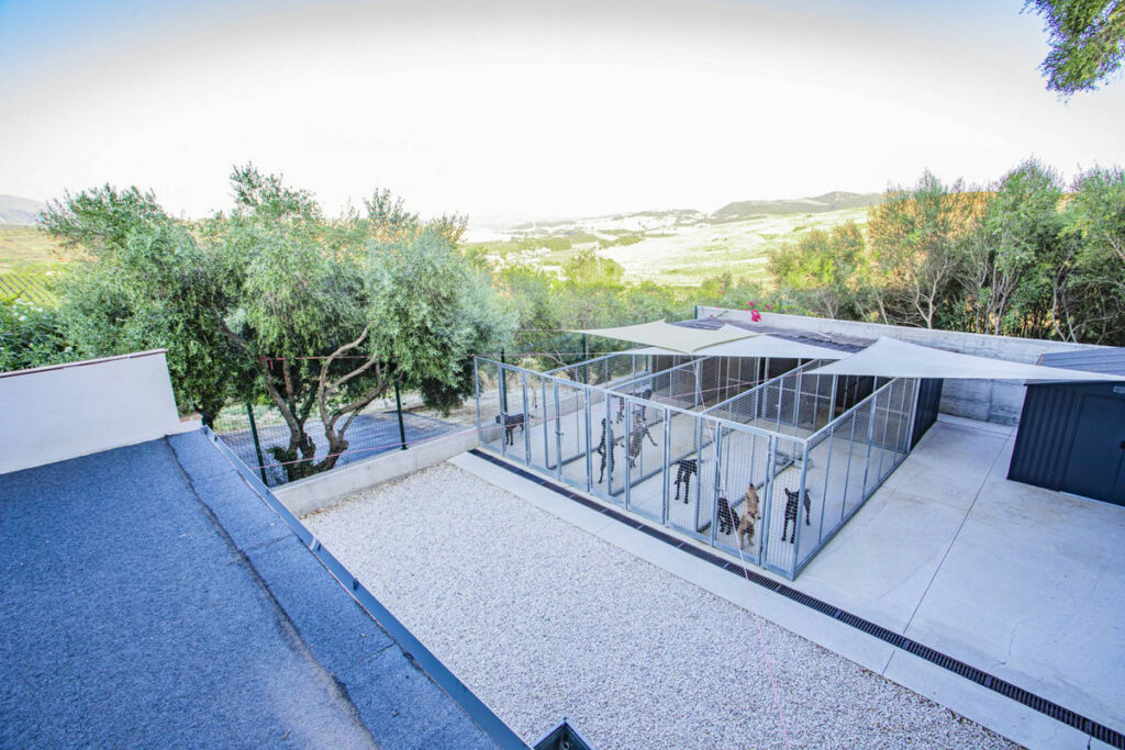 Finca - Cortijo Jimena de la Frontera Cádiz - zdjęcie 34