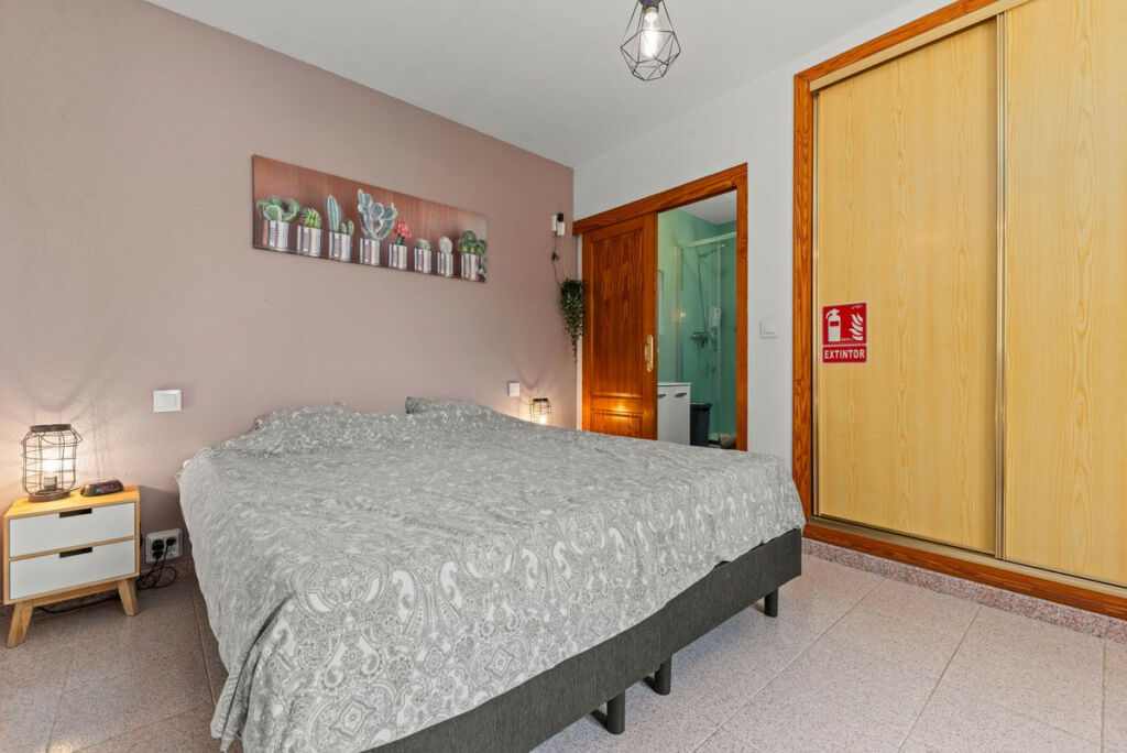 Aparthotel San Vicente del Raspeig Alicante - imagen 34