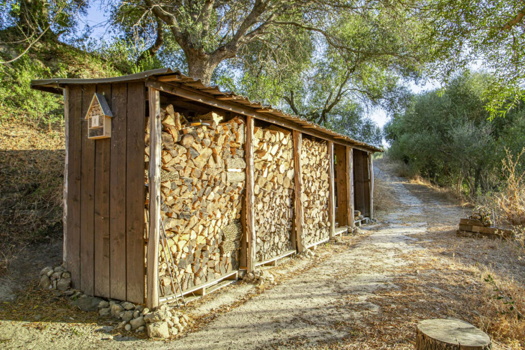 Finca - Cortijo Jimena de la Frontera Cádiz - zdjęcie 42