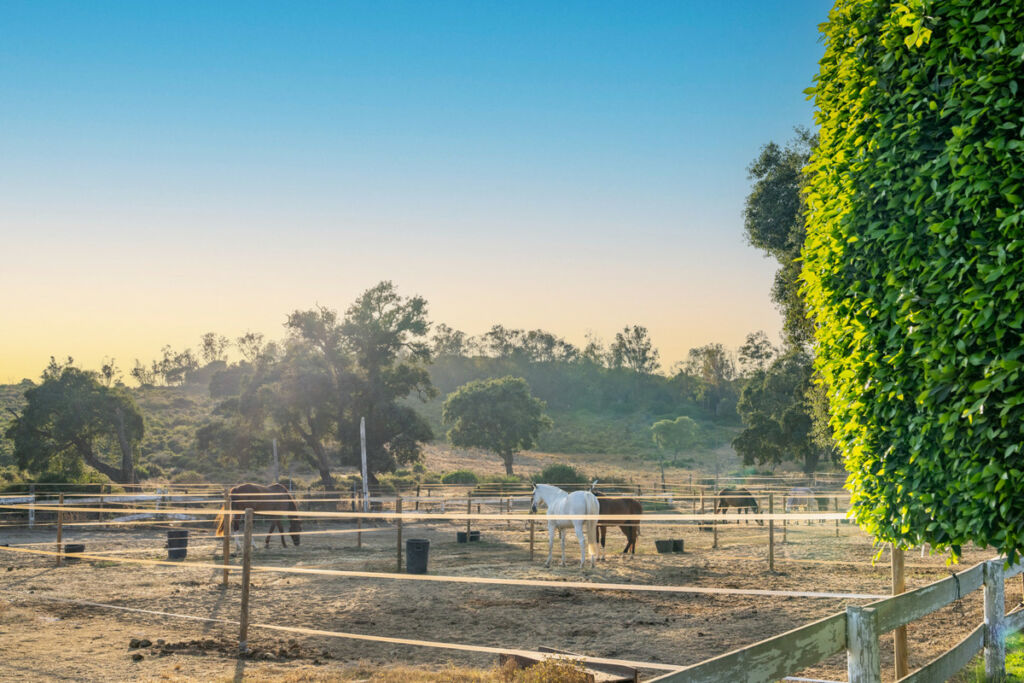 Middle Floor Apartment San Roque Club Cádiz - zdjęcie 38