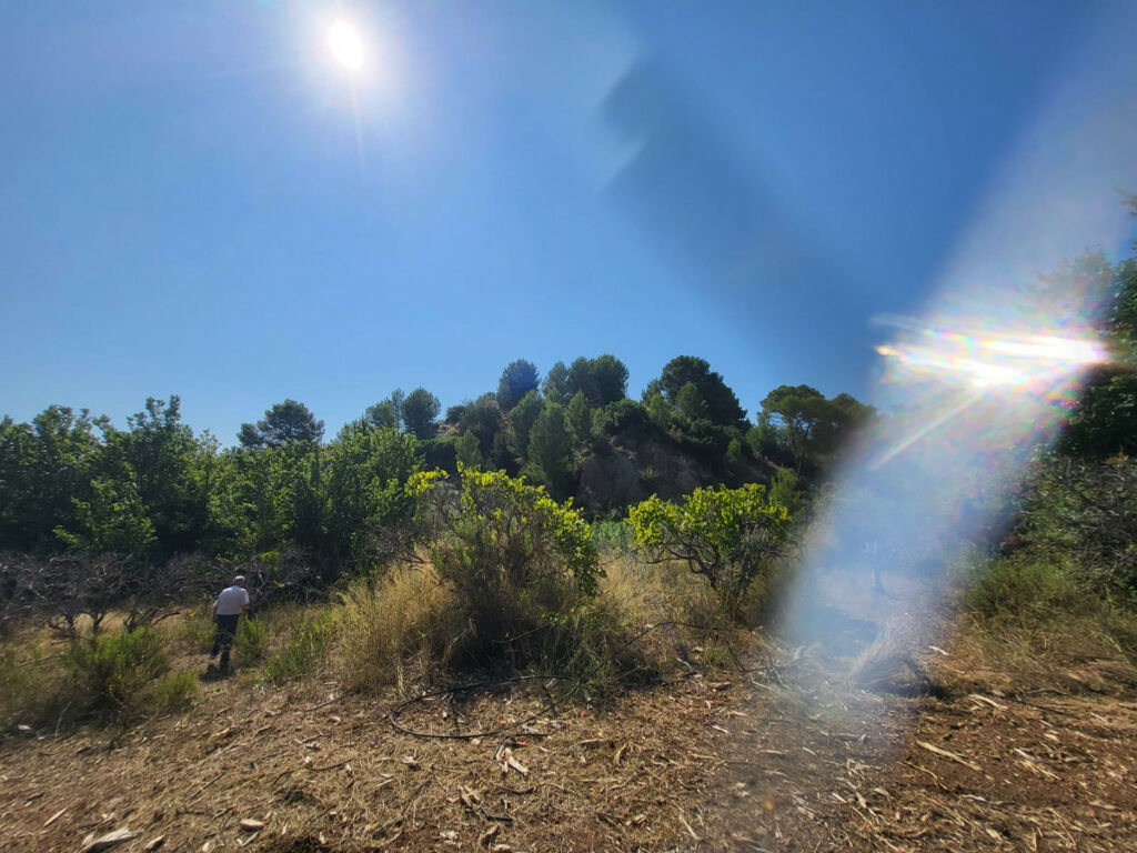 Land Parcent Alicante - imagen 4