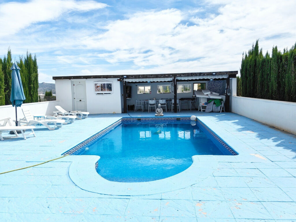 Detached Villa Pinoso Alicante - imagen 4