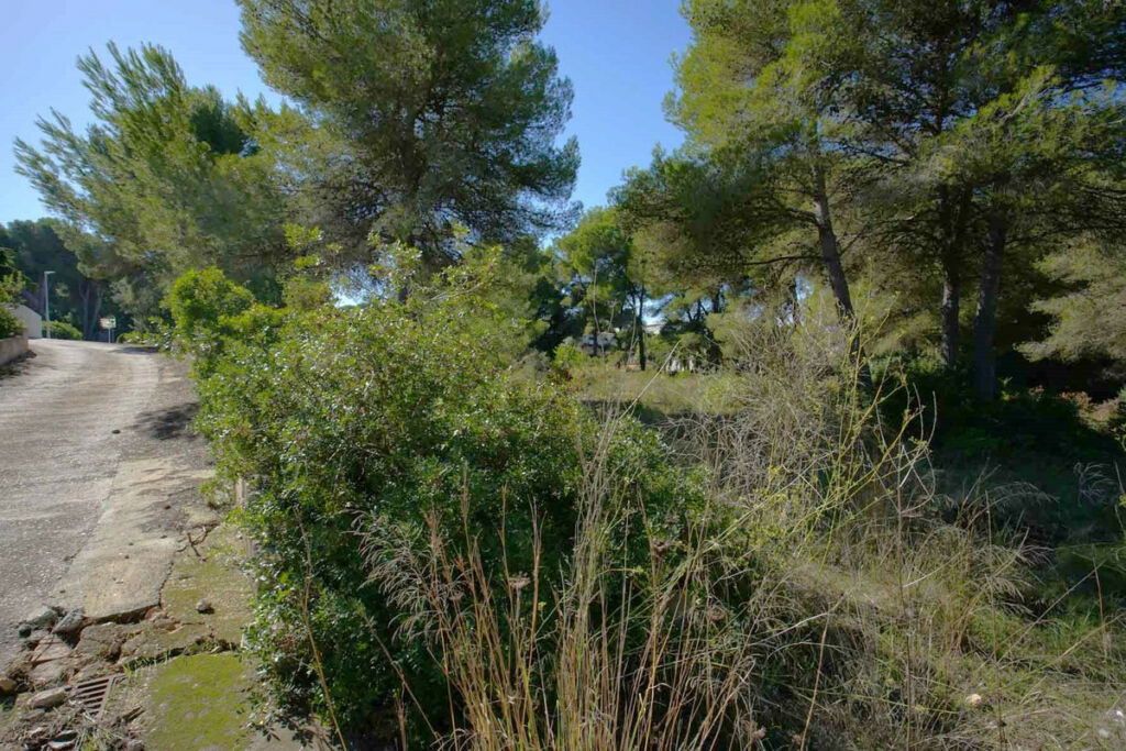 Residential Plot Javea Alicante - imagen 4