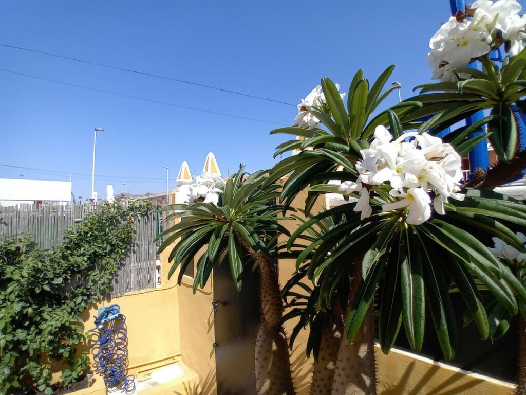 Semi-Detached House Puerto de Mazarrón Murcia - imagen 41