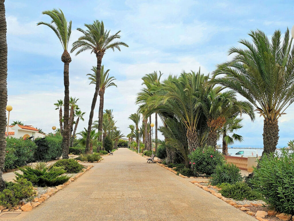 Detached Villa Los Alcazares Murcia - imagen 48