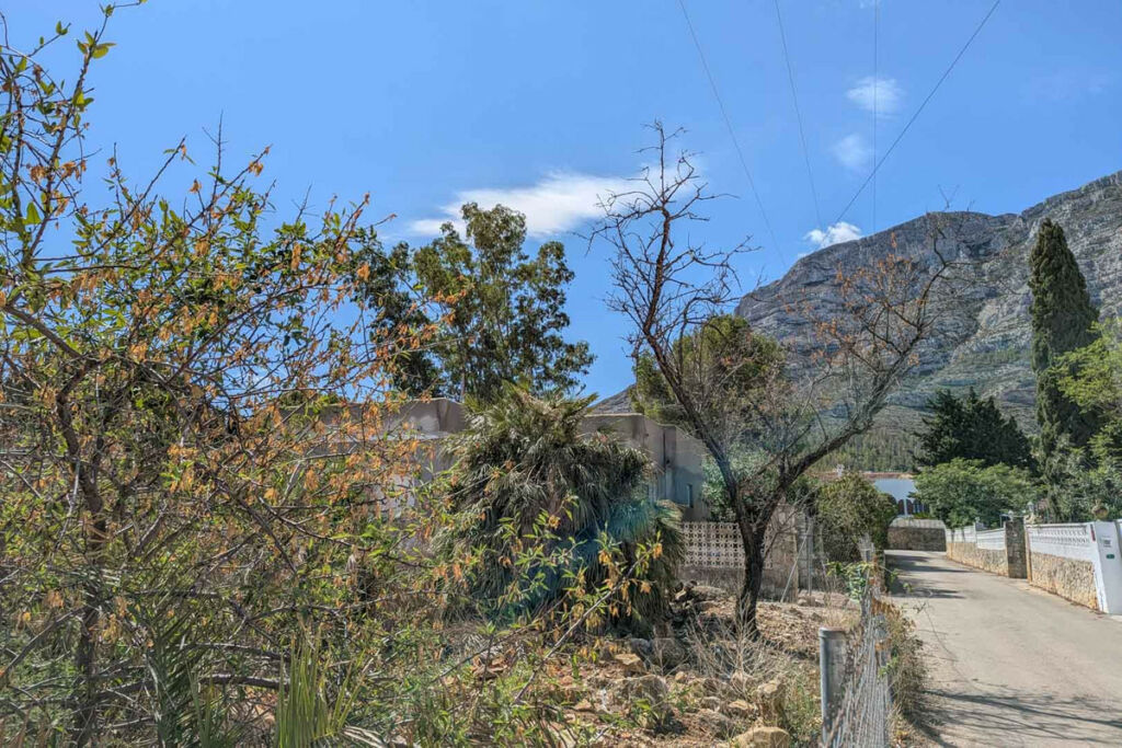 Land Denia Alicante - imagen 5