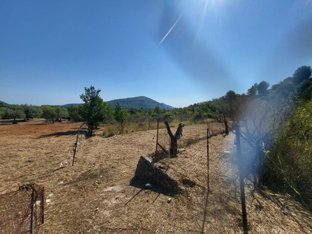 Land Parcent Alicante - imagen 5