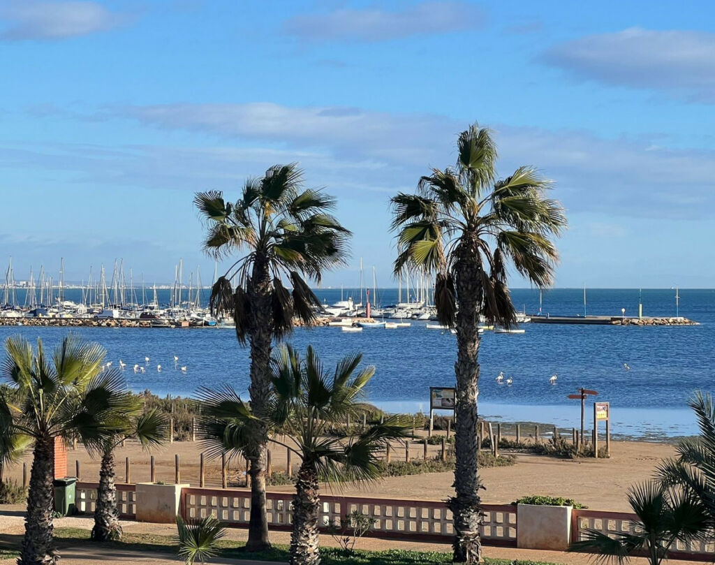 Detached Villa Los Alcazares Murcia - imagen 57