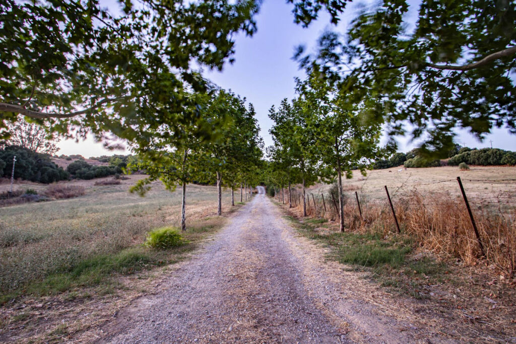 Finca - Cortijo Jimena de la Frontera Cádiz - zdjęcie 38