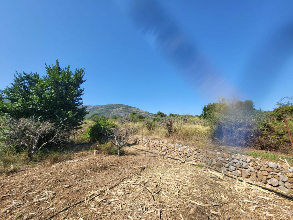 Land Parcent Alicante - imagen 6