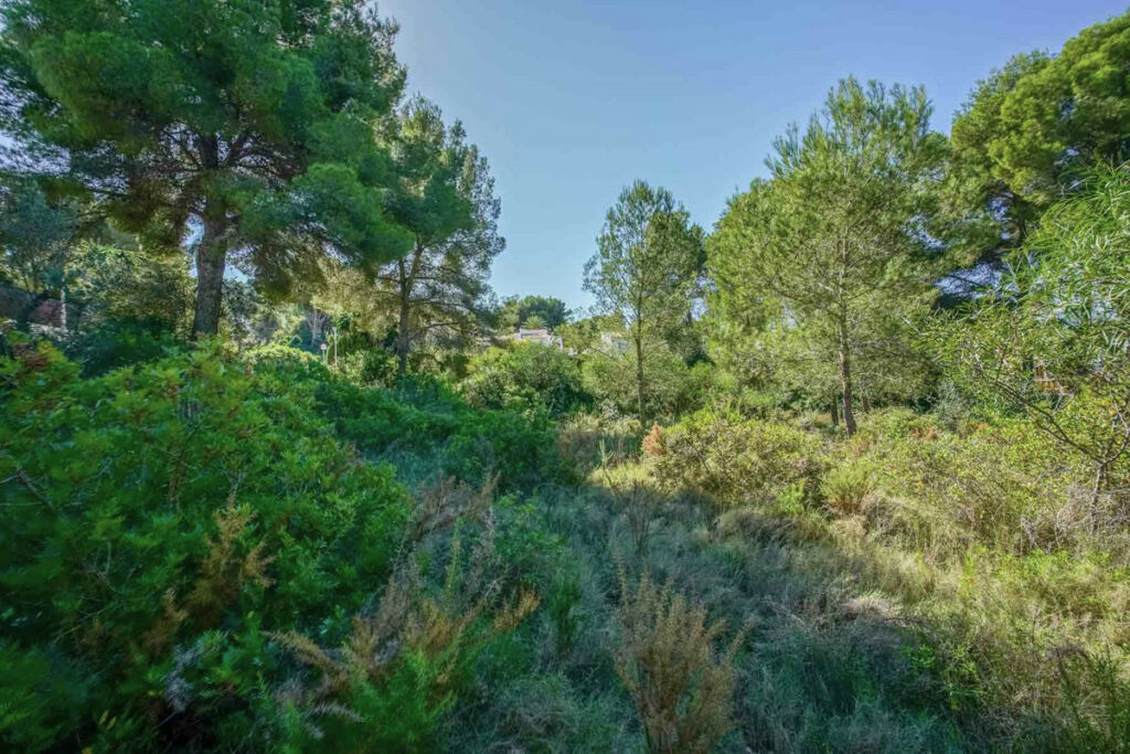 Residential Plot Javea Alicante - imagen 7