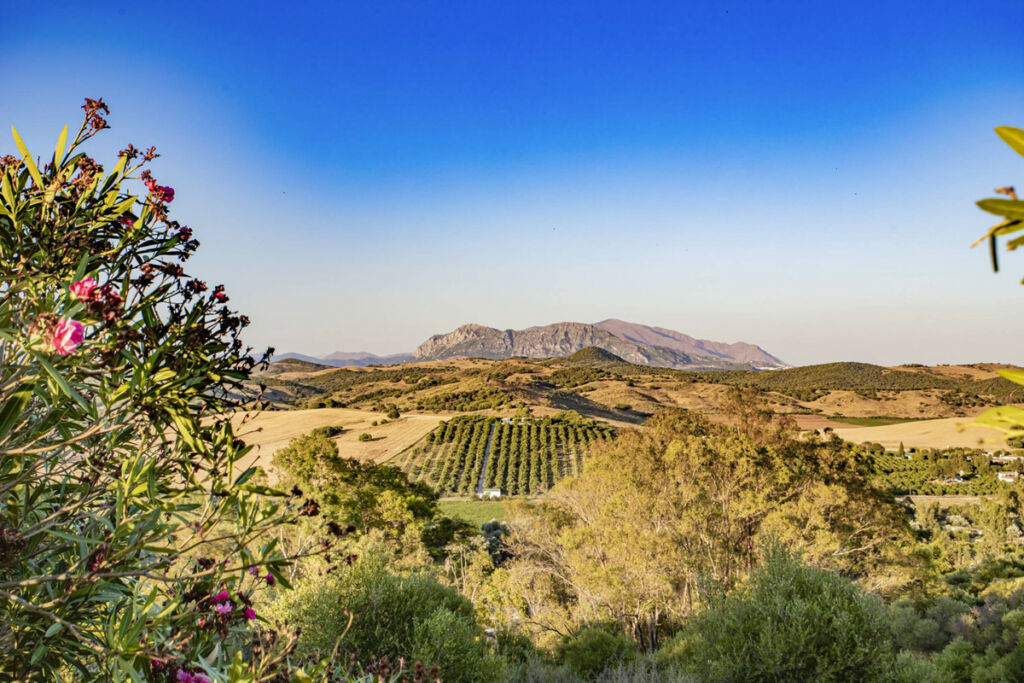 Finca - Cortijo Jimena de la Frontera Cádiz - zdjęcie 43
