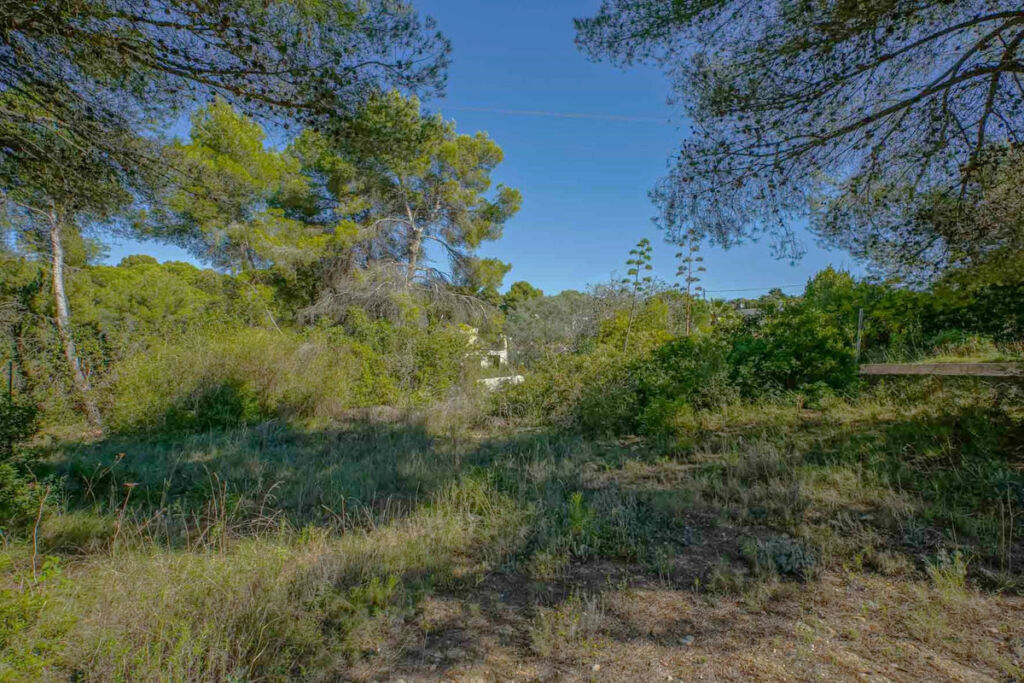 Residential Plot Javea Alicante - imagen 9