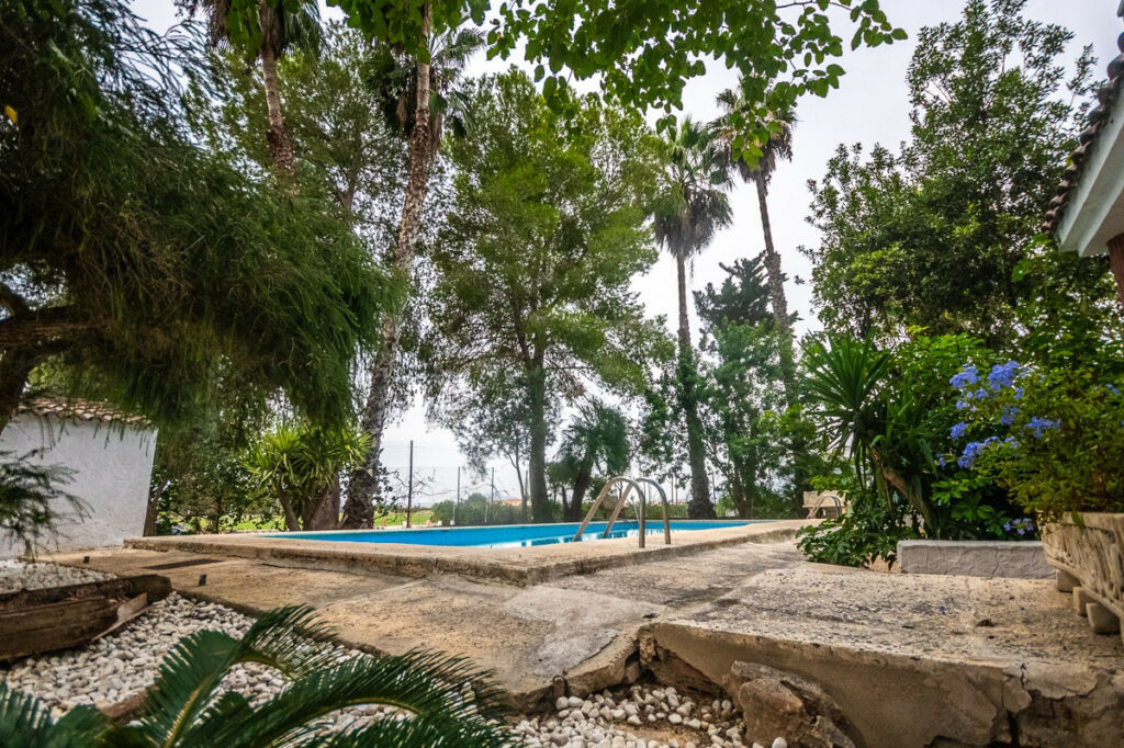Finca - Cortijo Orihuela Alicante - Bild 11