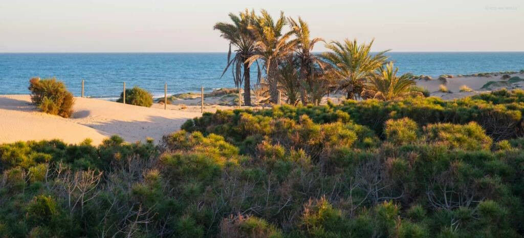 Bungalow Guardamar del Segura Alicante - imagen 17