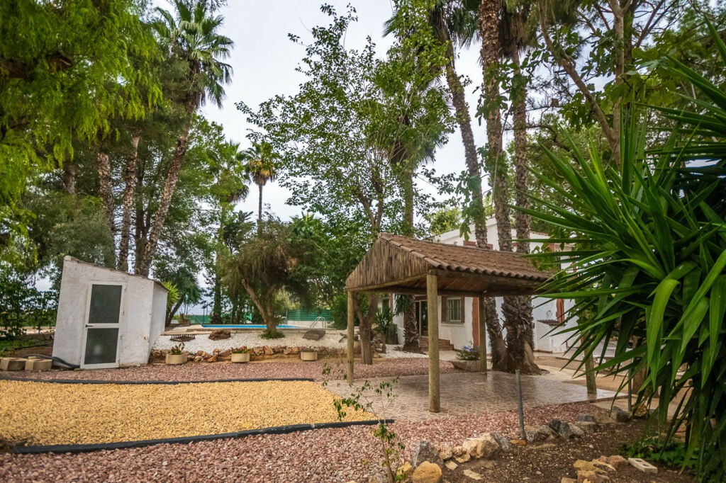 Finca - Cortijo Orihuela Alicante - Bild 13