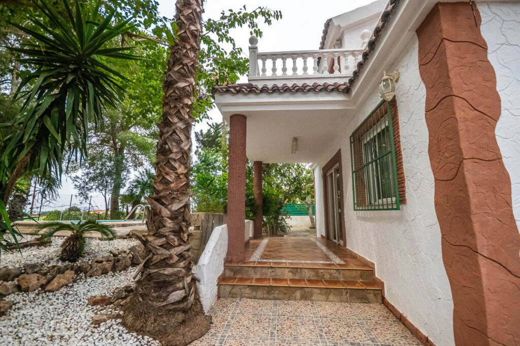 Finca - Cortijo Orihuela Alicante - Bild 15