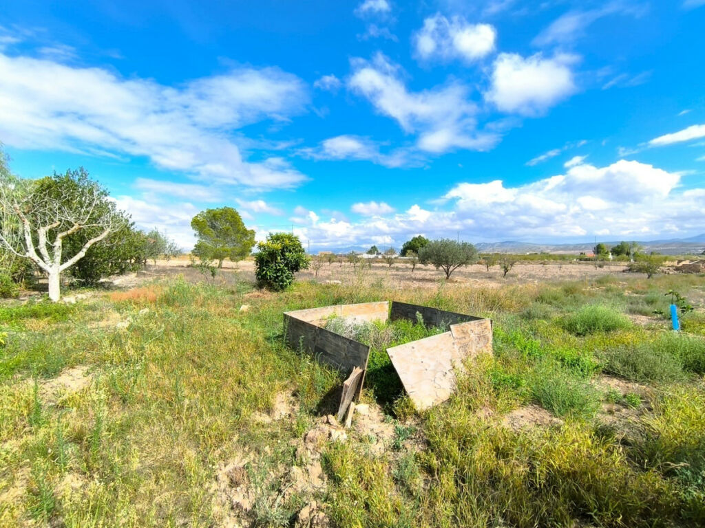 Finca - Cortijo Yecla Murcia - imagen 15