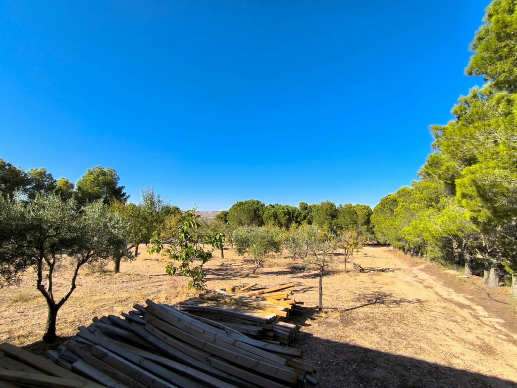 Detached Villa Yecla Murcia - imagen 15
