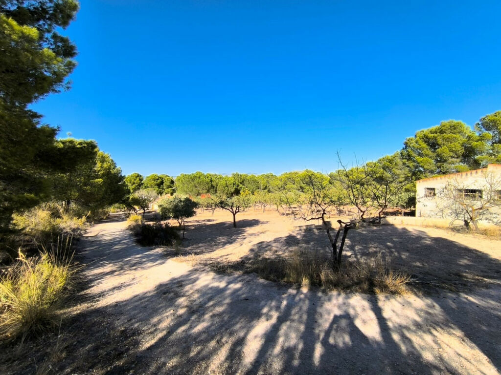 Detached Villa Yecla Murcia - imagen 16