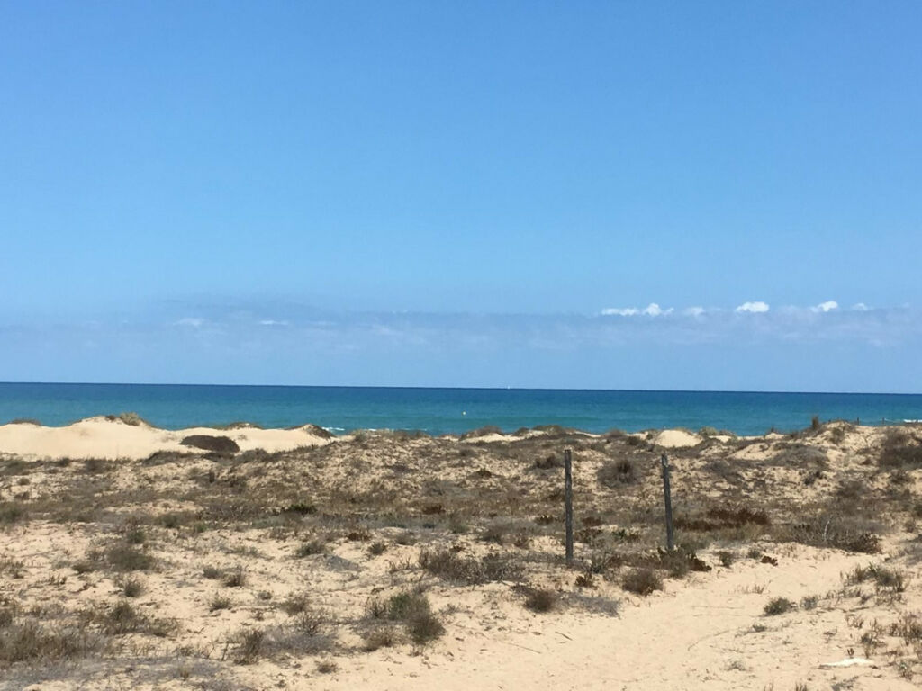 Bungalow Guardamar del Segura Alicante - imagen 21