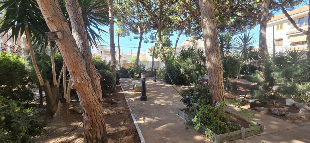 Ground Floor Apartment San Pedro del Pinatar Murcia - imagen 19