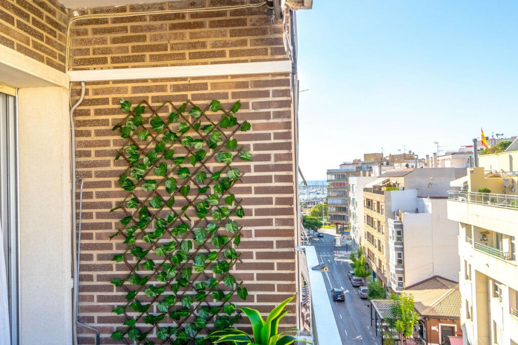 Middle Floor Apartment Torrevieja Alicante - Bild 19