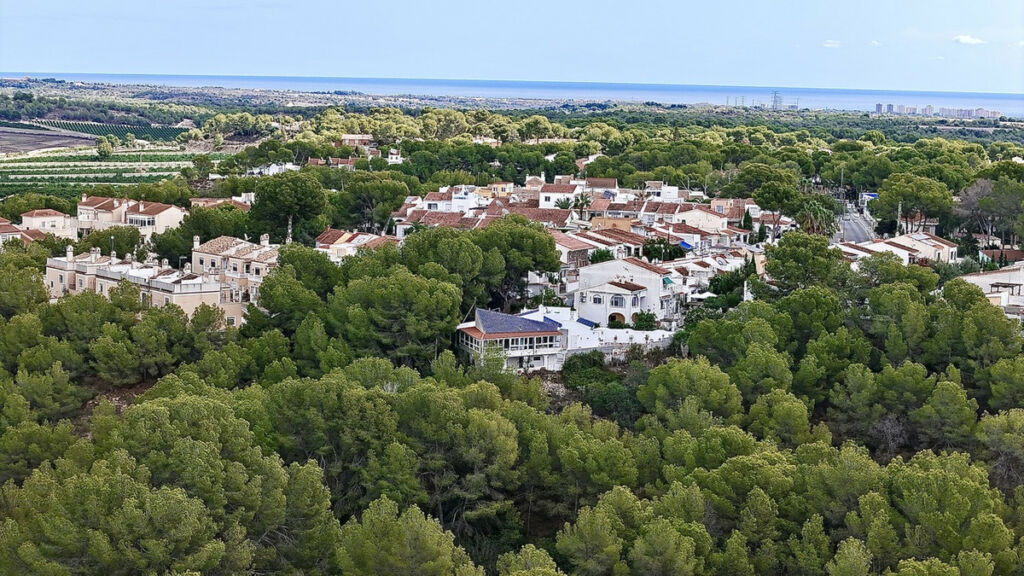 Detached Villa Pilar de la Horadada Alicante - image 2