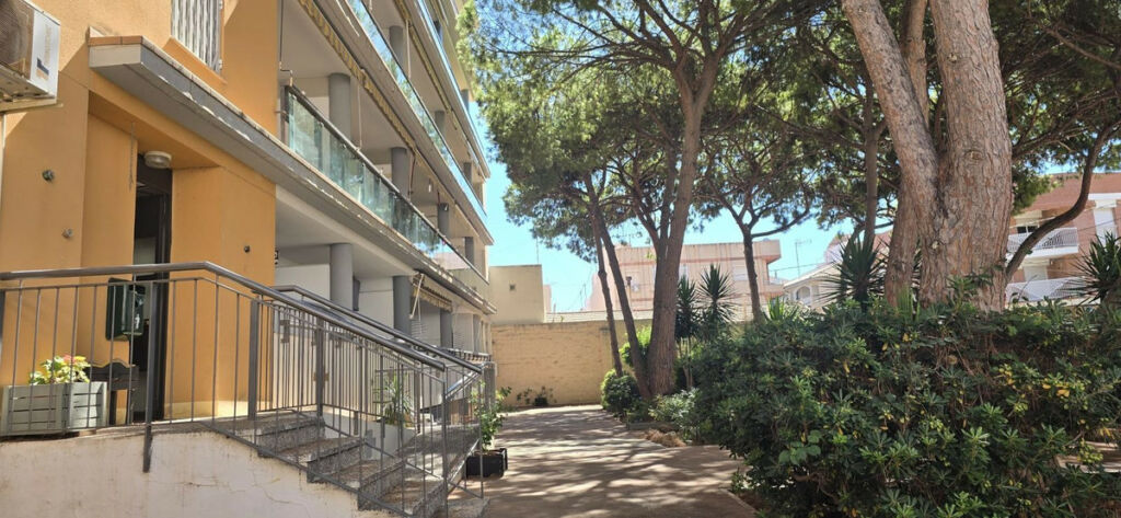 Ground Floor Apartment San Pedro del Pinatar Murcia - imagen 2
